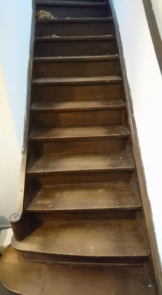 rénovation escalier